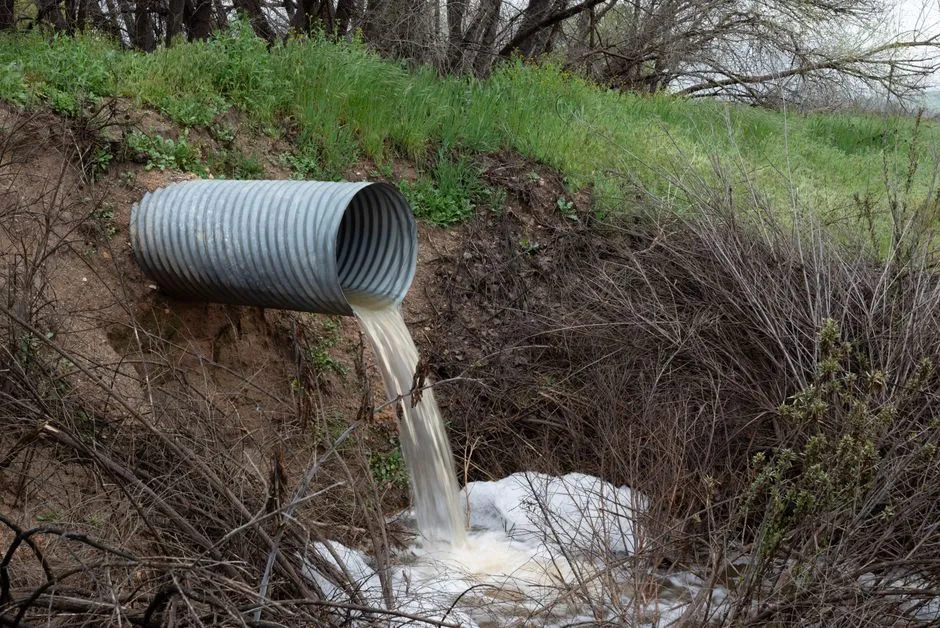Bathtub Drain Snaking in Springfield, VA