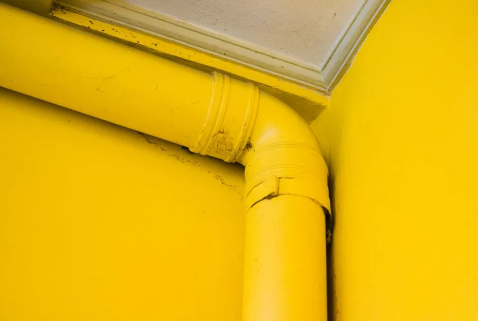 Benefits Of Drain Snaking In Springfield Estates