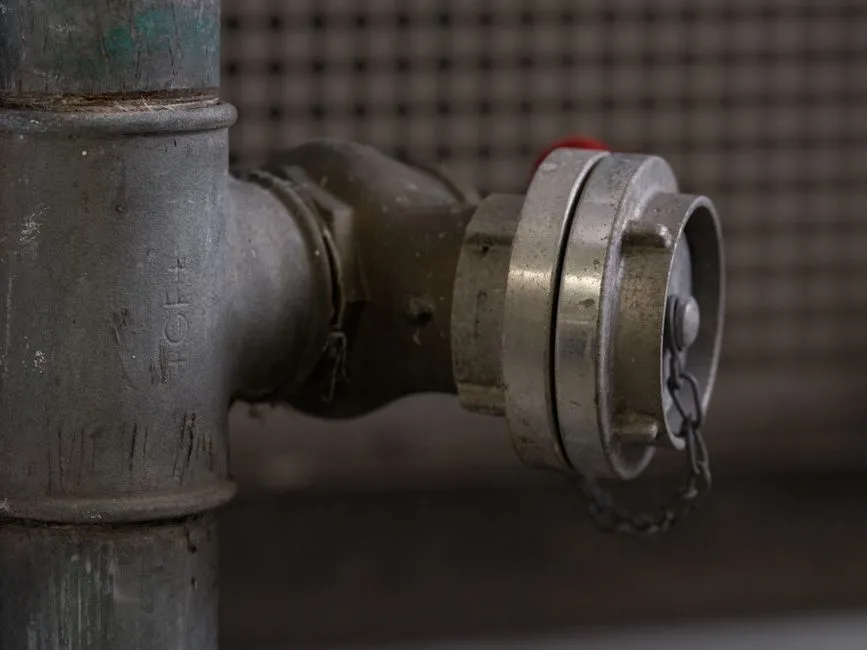 Professional Snaking vs. Chemical Drain Cleaners in Virginia Homes